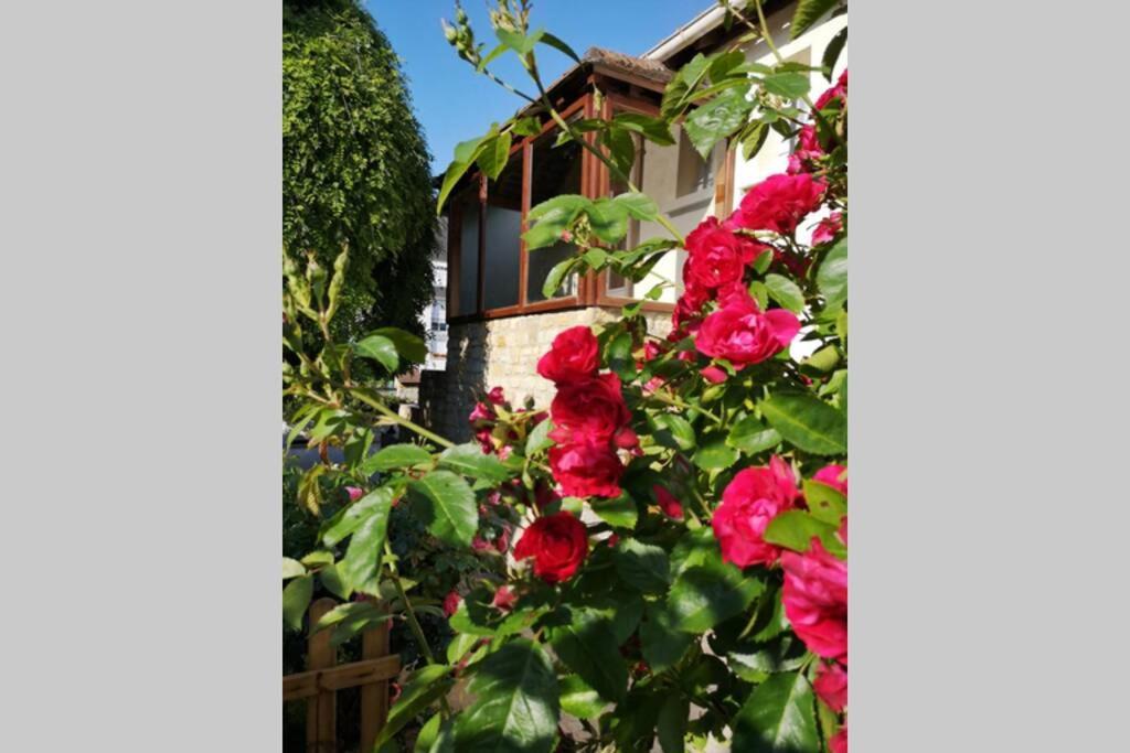 La Roseliere Maison Plain Pied Confortable Belle Decoration Jardin Magnifique 10 Mn A Pied Centre Ville Bayeux Proche Plages Du Debarquement Экстерьер фото